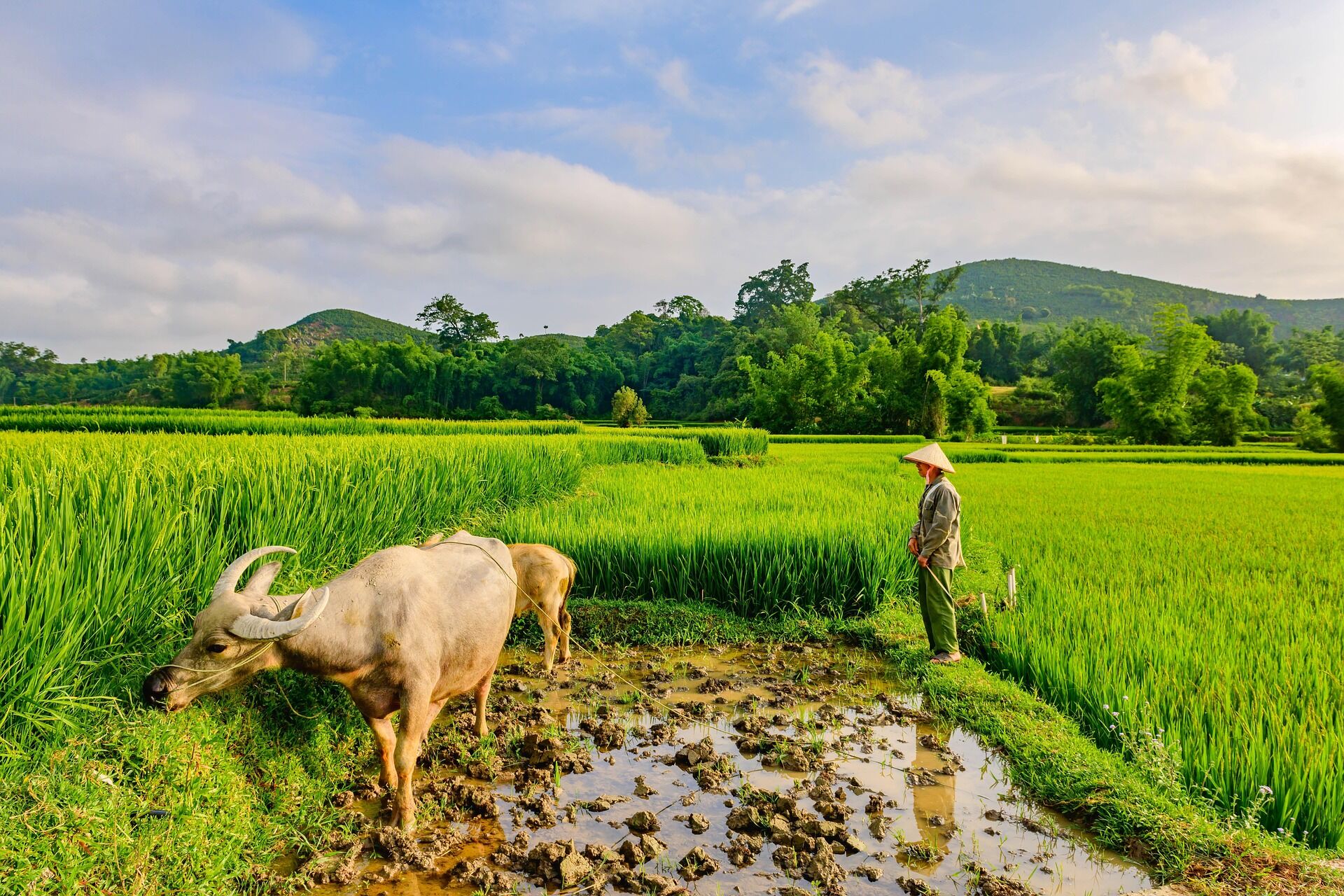 Capture the authentic charm of Muang Xay’s safe cultural scene